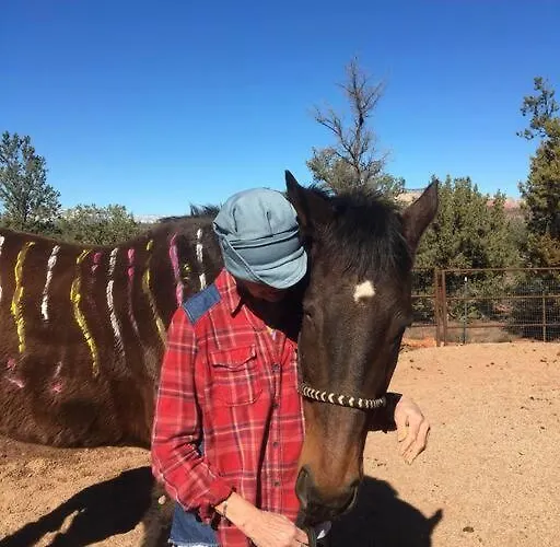 The Roost Sedona's Loved *